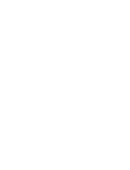 sel atelier