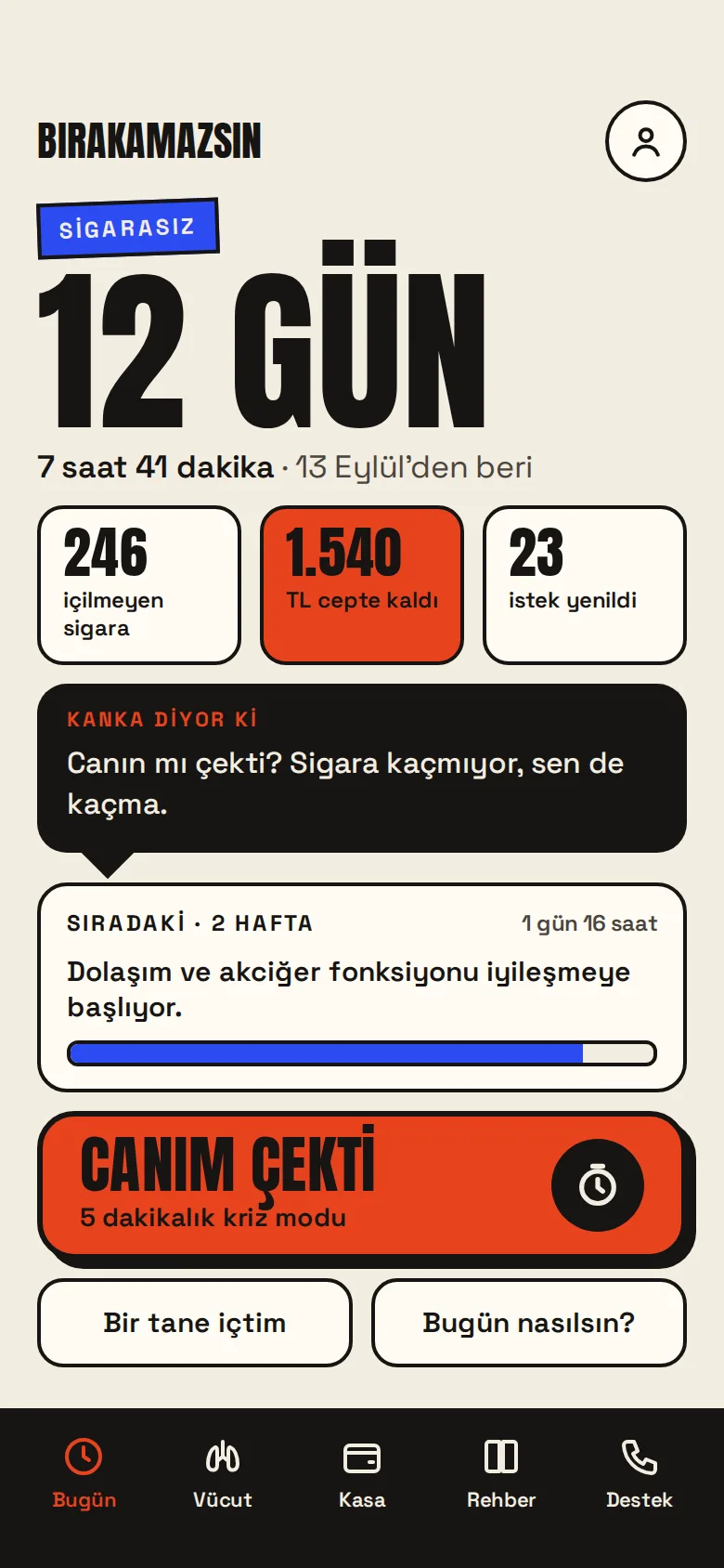 BIRAKAMAZSIN – Screenshots 1