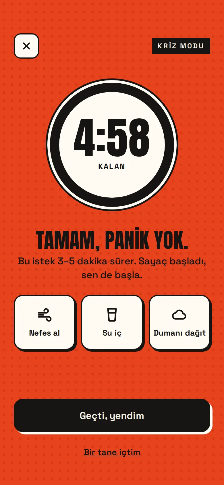 BIRAKAMAZSIN – Screenshots 2
