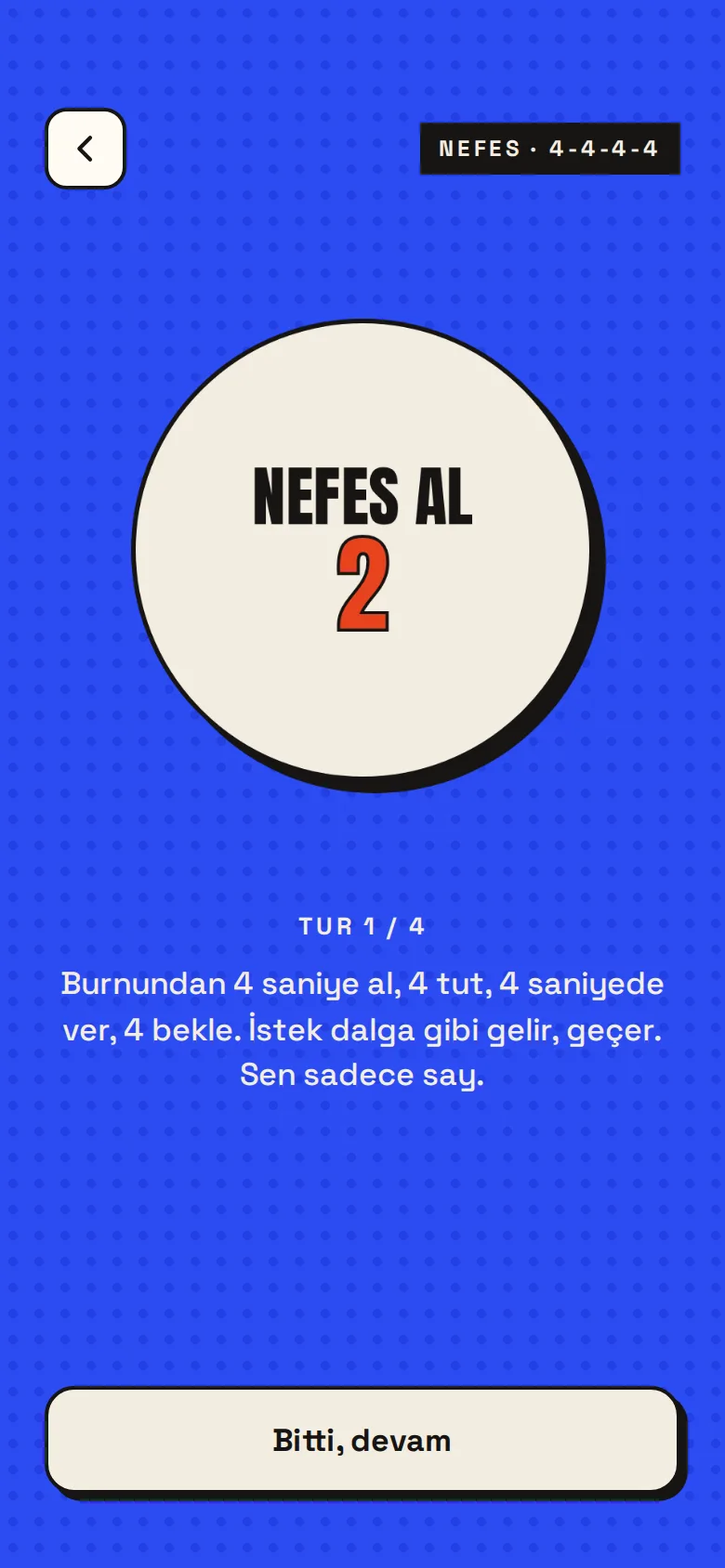 BIRAKAMAZSIN – Screenshots 3