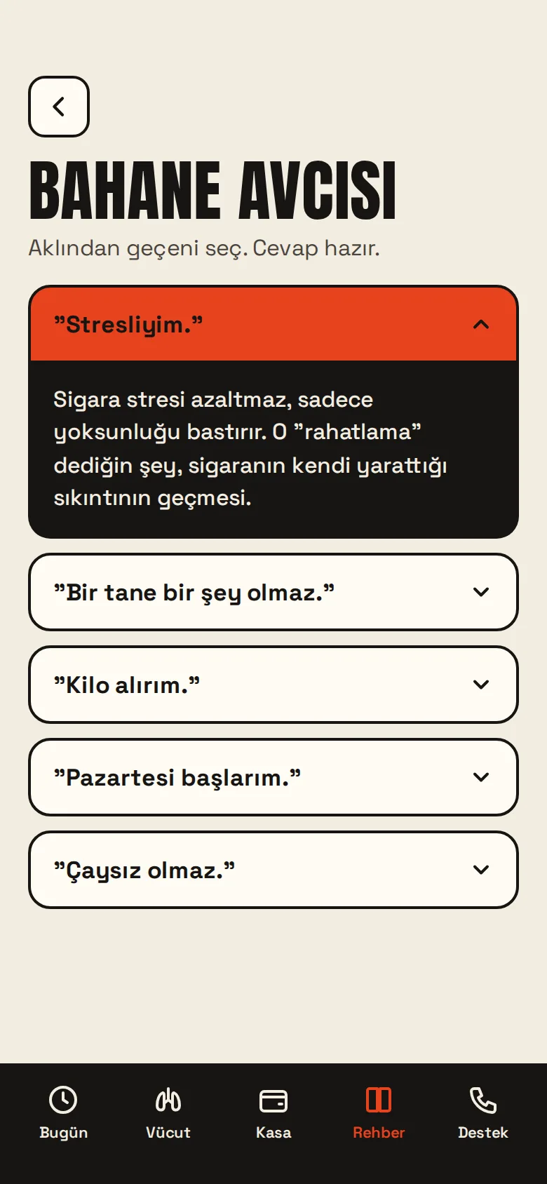 BIRAKAMAZSIN – Screenshots 5